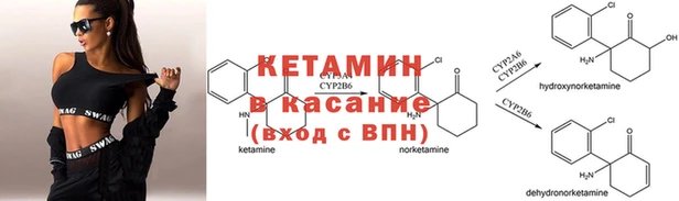 стафф Горно-Алтайск